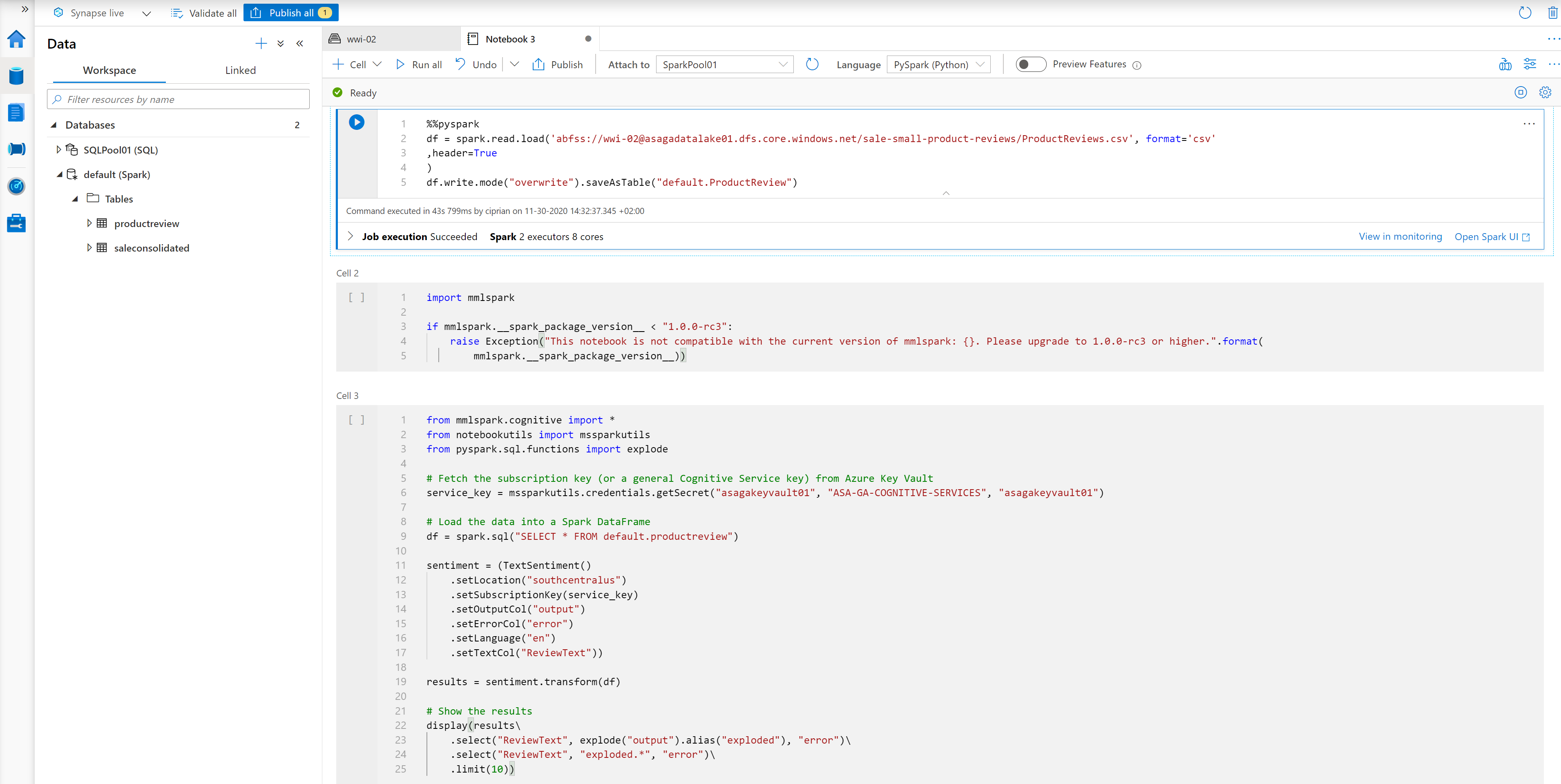 Text Analytics service integration code in notebook
