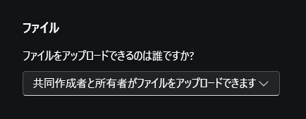 特にファイル アップロード オプションに焦点を当てた所有者の設定を示す画面キャプチャ。