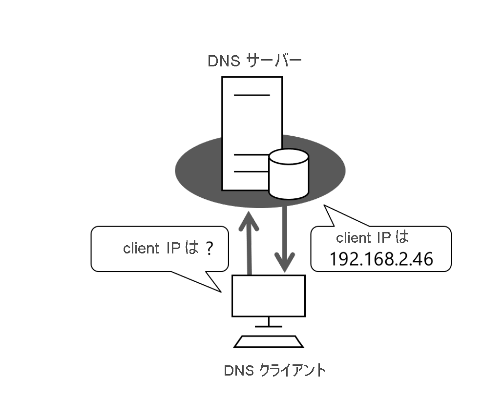 Diagram of a DNS client petitioning its configured DNS server. It performs a simple query for an IP address that's based on a name.