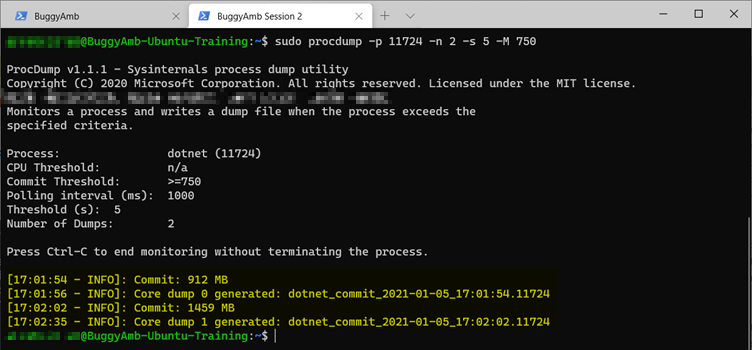 sudo procdump p n コマンドのスクリーンショット。