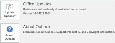 クイック実行インストールの [更新オプション] 項目が表示されているスクリーンショット。