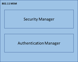 セキュリティ マネージャーと認証マネージャーを示す MSM の詳細。