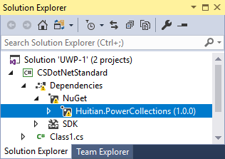 Screenshot of NuGet package in Solution Explorer.