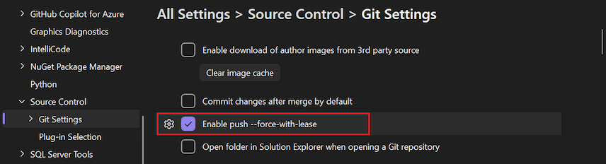 [オプション] ウィンドウの [プッシュ --force-with-lease を有効にする] オプションのスクリーンショット。