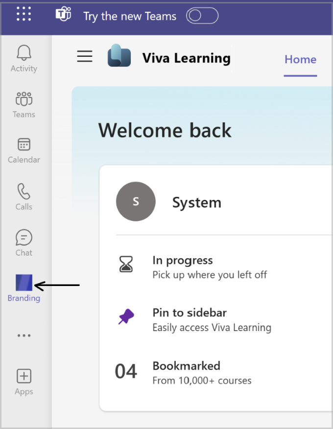 Teams メニュー バーにピン留めされたカスタム ブランドアプリ アイコンの外観のスクリーンショット