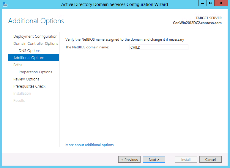 Screenshot of the Additional Options page of the Active Directory Domain Services Configuration Wizard showing the options that appear if you are creating a new domain.