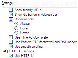 チェックボックスとラジオ ボタンの値を設定するための Internet Explorer オプションのスクリーン ショット