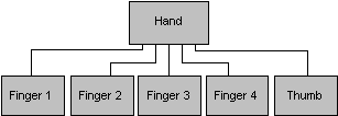 人間の手の階層の図