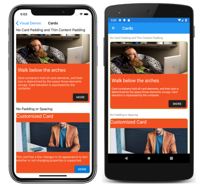 Material レンダラーを使用したビュー iOS と Android 上の Material レンダラーのスクリーンショット