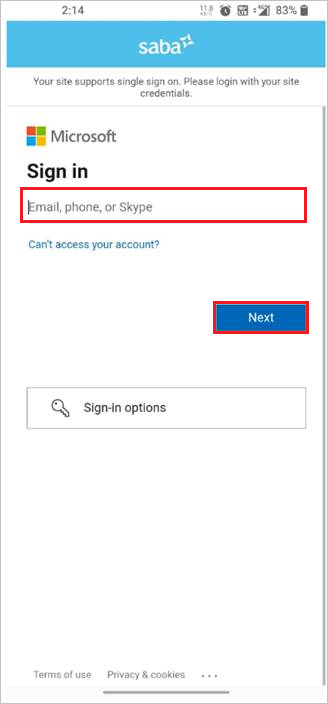 Снимок экрана: адрес электронной почты.