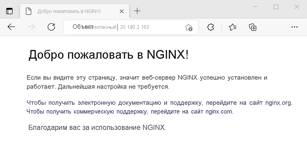 Снимок экрана: тестирование веб-сервера NGINX.