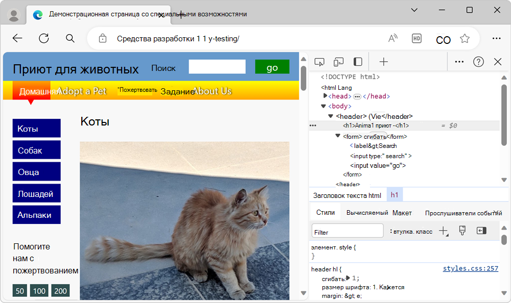 Демонстрационная страница с devTools рядом с ней