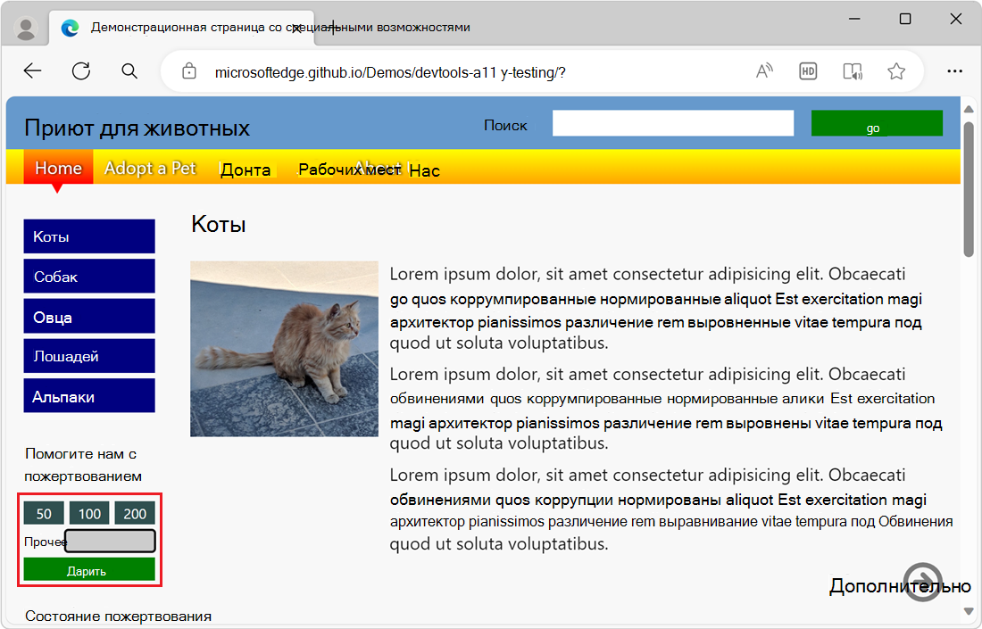 Единственный доступный с клавиатуры элемент в форме пожертвования — это поле ввода текста.