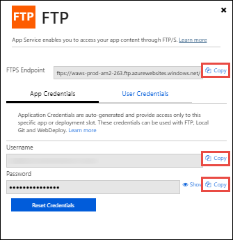 Скопируйте строки подключения с панели мониторинга FTP.