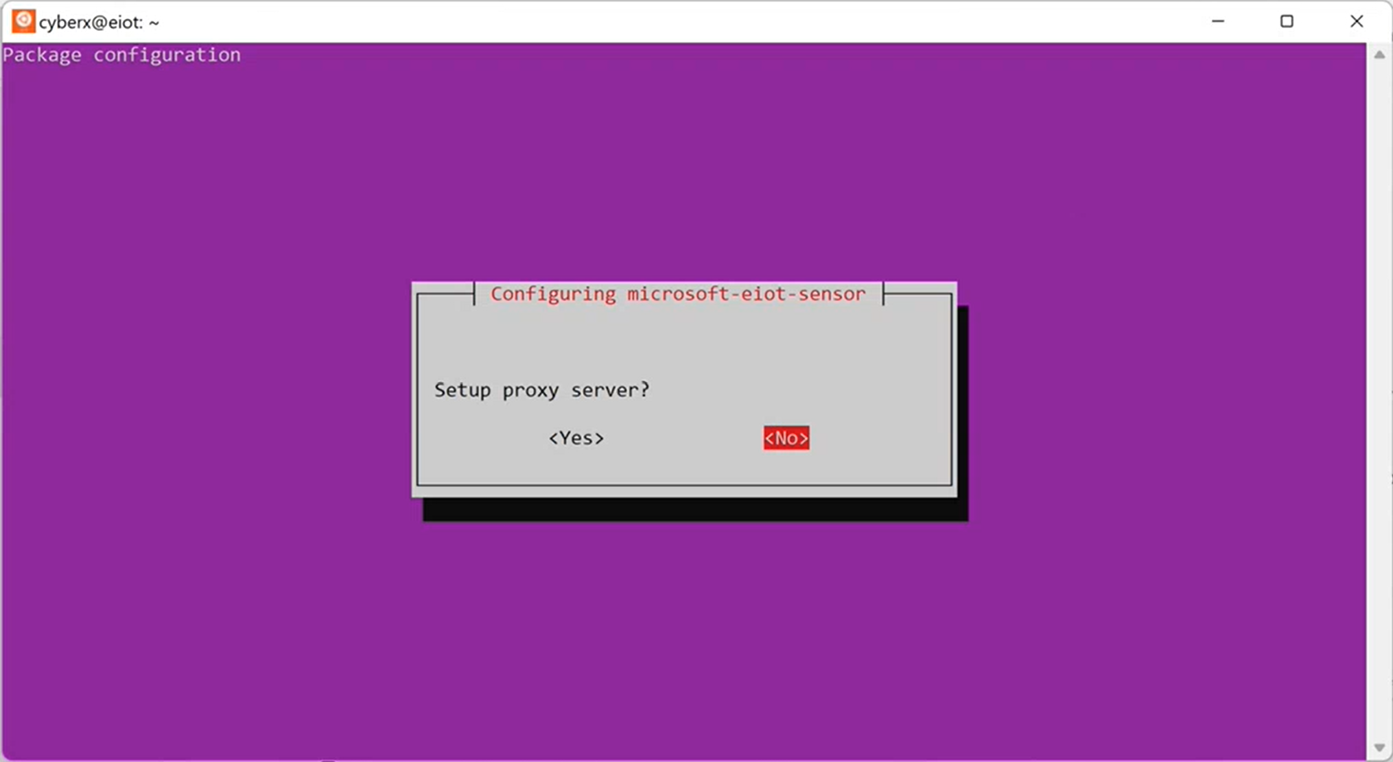 Screenshot of the Set up a proxy server screen.