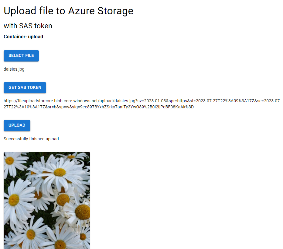 Screenshot of web browser showing web app with the image file uploaded and a thumbnail of the file displayed.