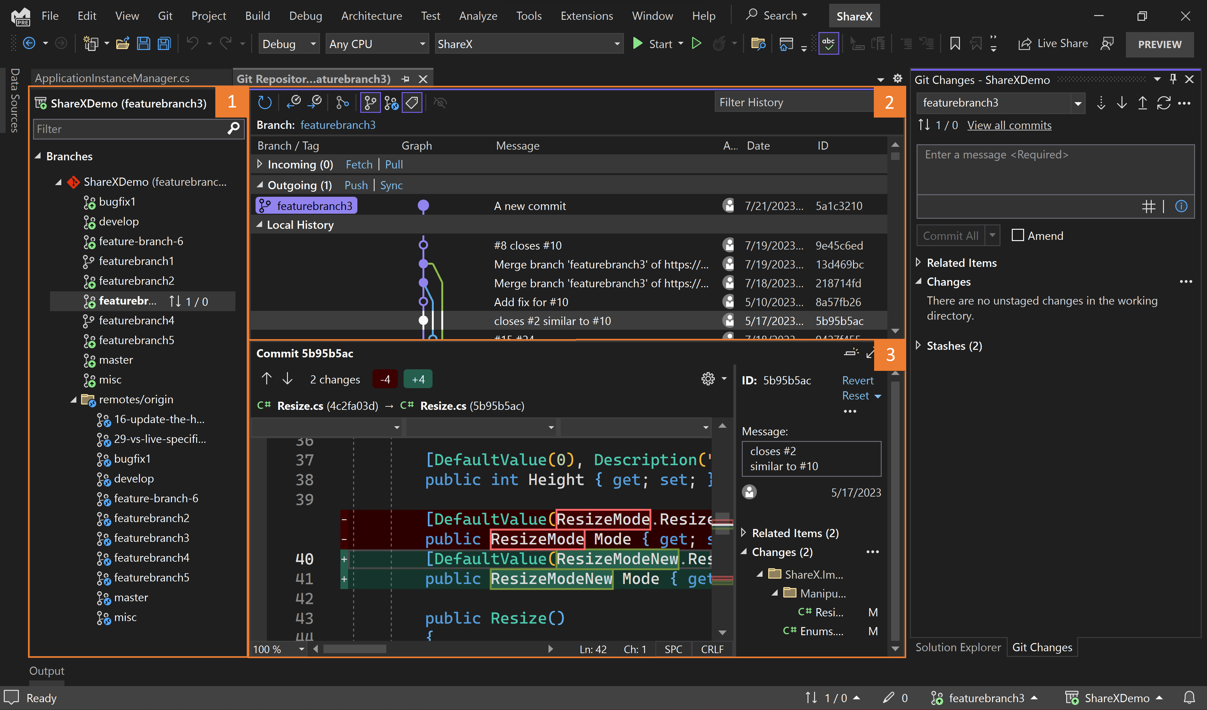 Screenshot that shows the anatomy of the Git Repository window.