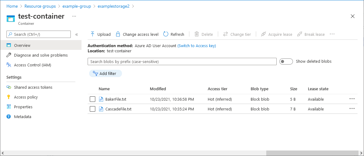 테스트 파일이 있는 스토리지 컨테이너의 스크린샷.