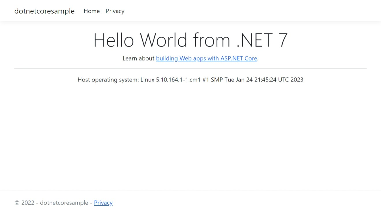 배포된 .NET Framework 4.8 샘플 앱의 스크린샷.