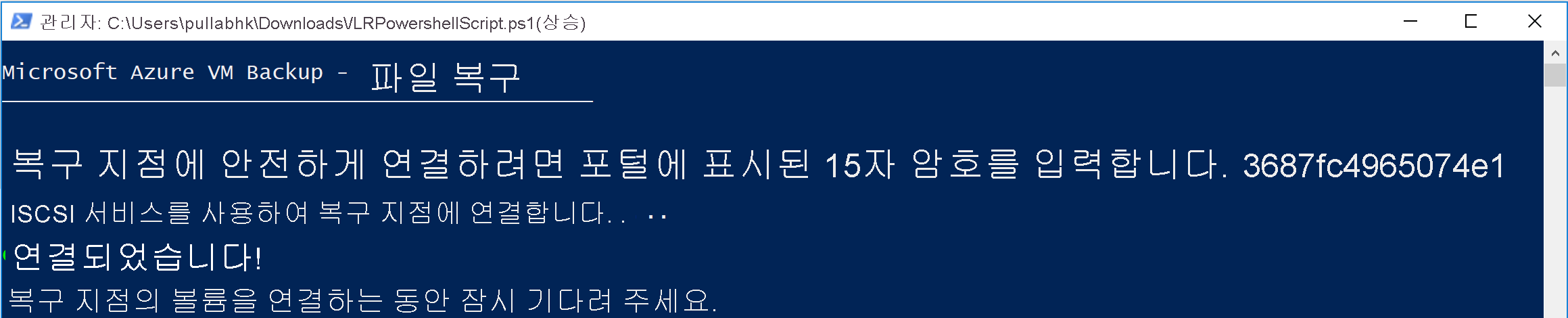 스크린샷은 VM에서 파일 복원에 대한 실행 파일 출력을 보여 줍니다.