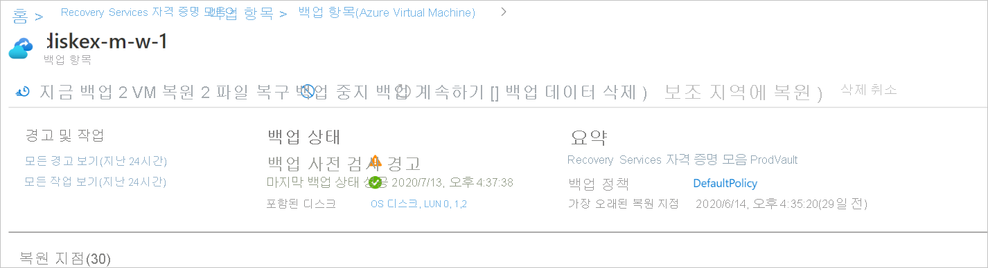 백업 세부 정보 창에 포함된 디스크와 제외된 디스크를 보여 주는 스크린샷