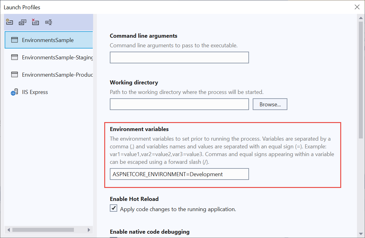 Project Properties Setting Environment variables