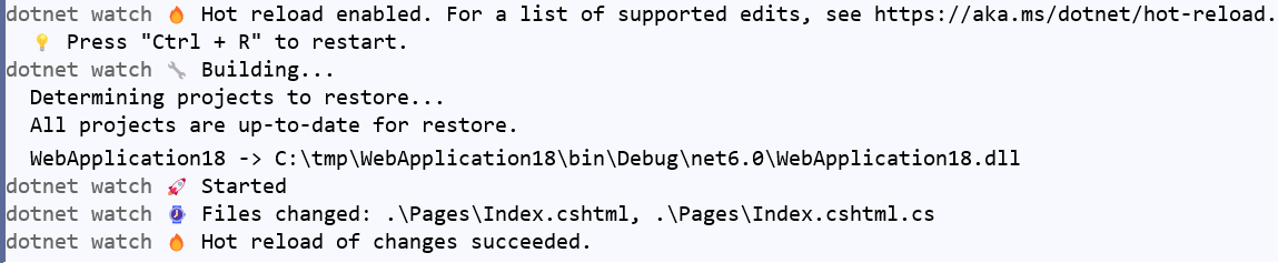 dotnet watch에 대한 출력