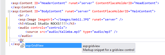 IntelliSense 목록을 사용하여 GridView 삽입