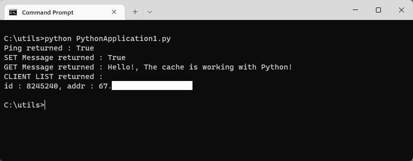 캐시 액세스를 테스트하는 Python 스크립트를 보여 주는 터미널 스크린샷.