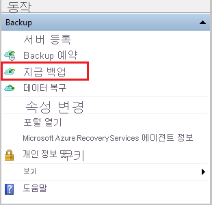 Screenshot shows how to select Back Up Now.