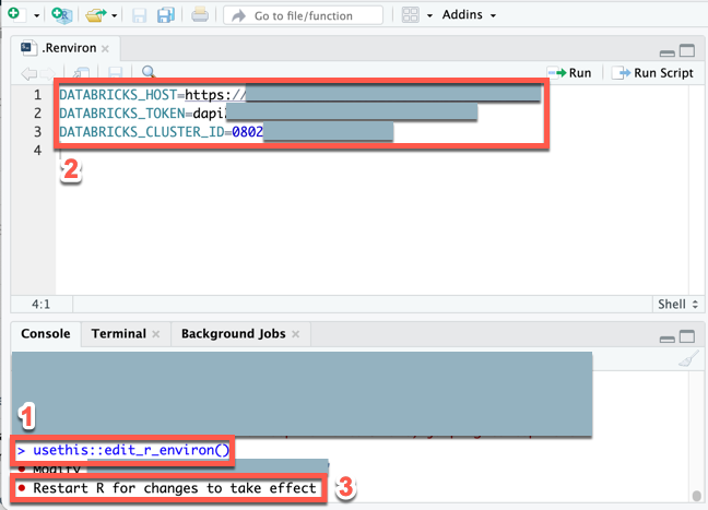 Databricks 커넥트 대한 환경 변수 설정