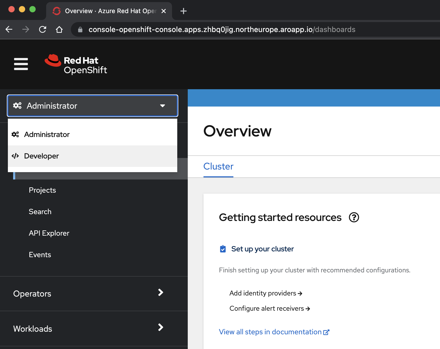 OpenShift 콘솔 개발자 보기의 스크린샷.