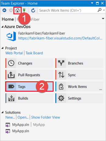 Visual Studio 태그 단추의 스크린샷