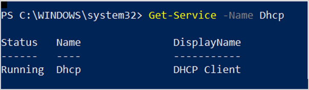DHCP 시작 유형 설정