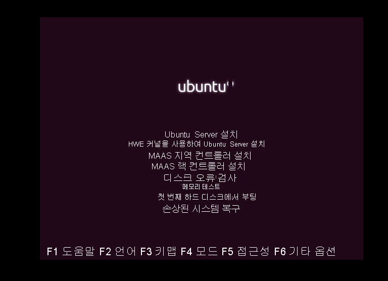 Ubuntu Server 설치 선택