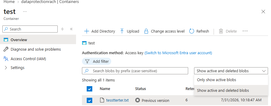 Azure 포털의 컨테이너 뷰에서 활성 및 삭제된 블롭을 표시하는 옵션을 보여주는 스크린샷입니다.