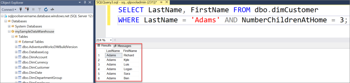 A screenshot of the SQL Server Management Studio (SSMS) query window. Query dbo.dimCustomer.