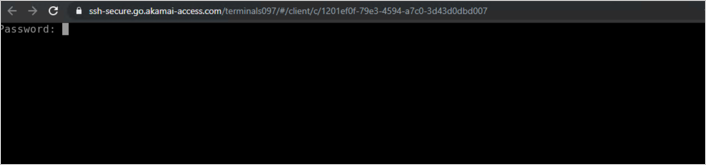 암호 프롬프트를 보여주는 ssh-secure-go.akamai-access.com에 대한 명령 창의 스크린샷