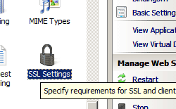 스크린샷은 SSL 설정이 선택된 기본 웹 사이트 홈 창을 보여줍니다.