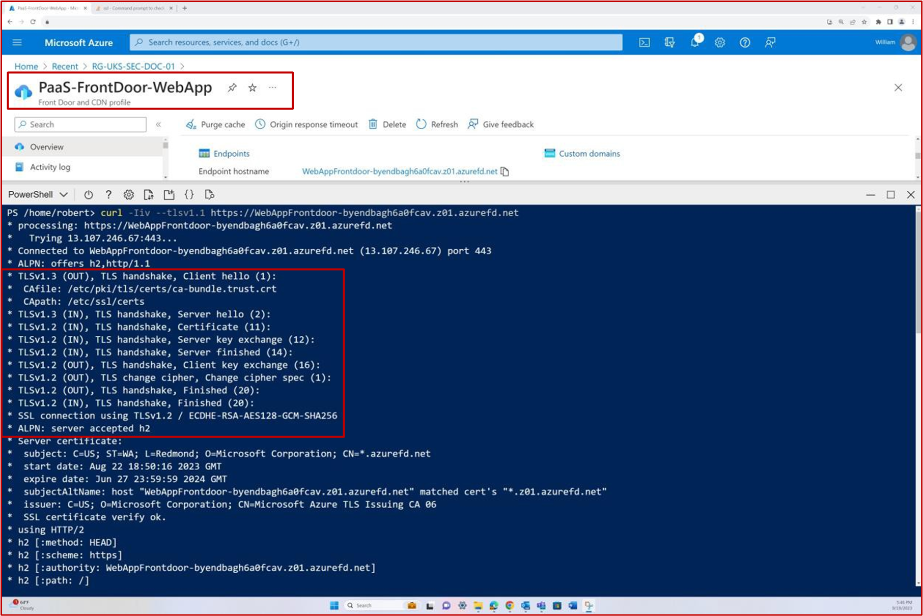 paaS-FrontDoor-WebApp에 대한 웹앱 powershell 코드 줄을 Azure.