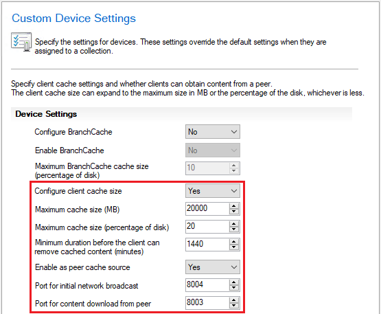 A screenshot of the Custom Device Settings for Peer Cache.