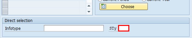 STy 필드가 선택된 화면의 직접 선택 영역에서 SAP Easy Access 애플리케이션의 HR 마스터 데이터 유지 관리 창 스크린샷입니다.