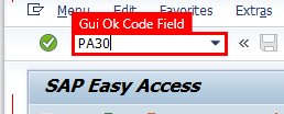 트랜잭션 코드 필드에 PA30이 입력되었으며 필드가 선택된 SAP Easy Access 창의 스크린샷입니다.