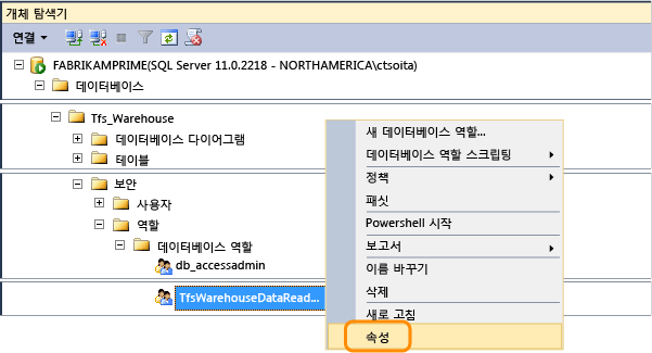 Tfs 웨어하우스 데이터 판독기 역할 속성 열기