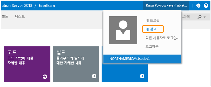 Team Web Access의 개별 경고 관리