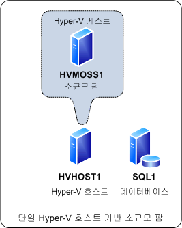 단일 Hyper-V 호스트로 구성된 소규모 팜