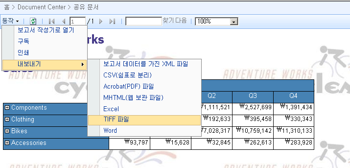 보고서 뷰어 웹 파트