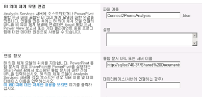 통합 문서에 대한 URL을 보여 주는 BISM 연결 페이지