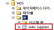 SQL Server Management Studio - mdm.Suppliers 뷰