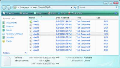 그림 5 Windows Vista - 오프라인인 동안 사용할 수 없는 파일 표시